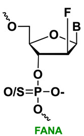 Bio-Synthesis Inc. Oligo Structure
